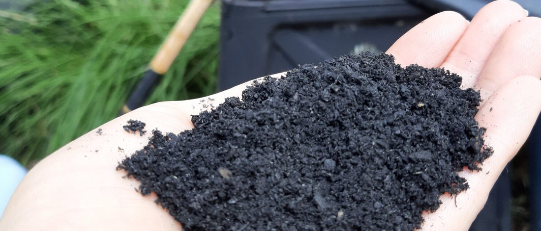 What is Biochar, and what are the benefits in compost?